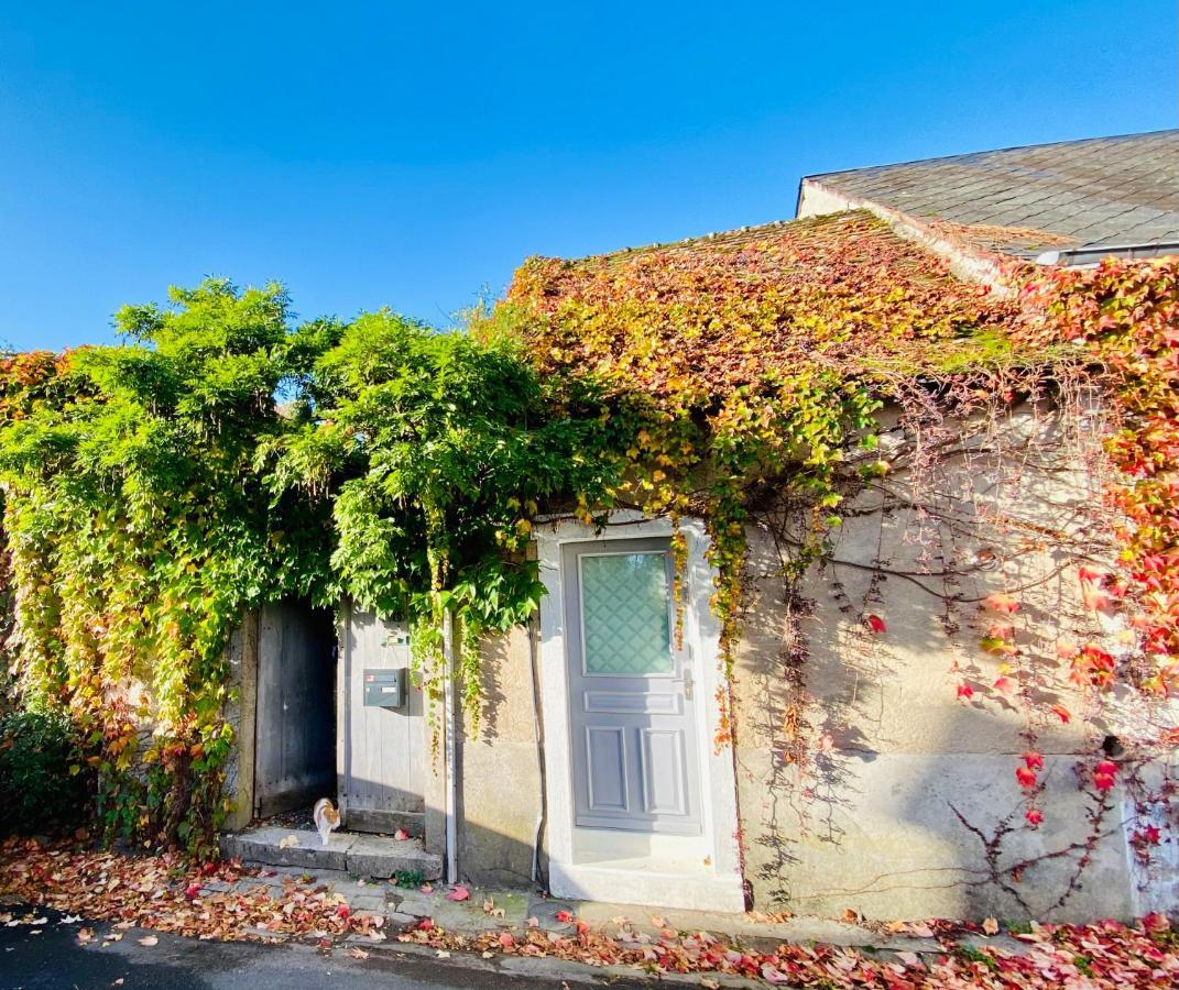 Le Secret De Clamecy Villa แซลส์-ซูร์-แชร์ ภายนอก รูปภาพ